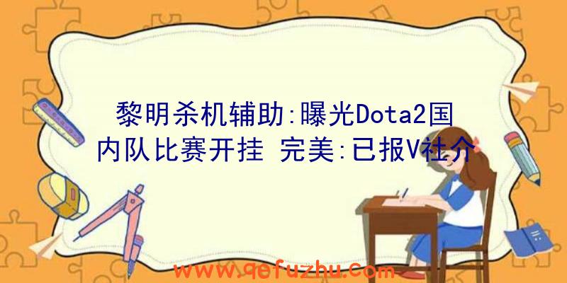 黎明杀机辅助:曝光Dota2国内队比赛开挂